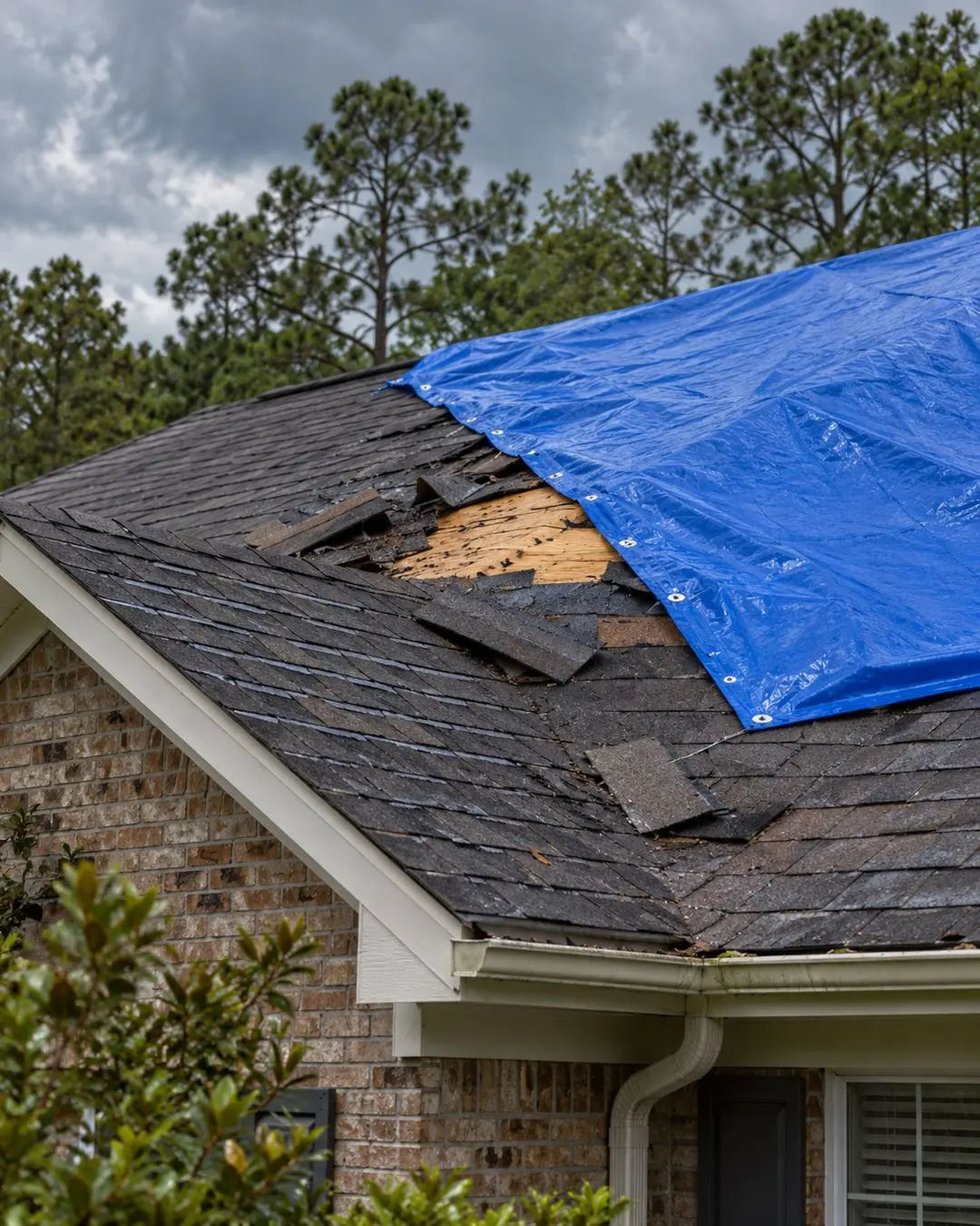 Close view of secured roof covering after wind damage